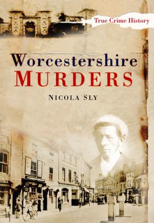 Cover of the book Worcestershire Murders by Jeff Rozelaar