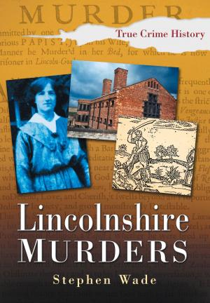Cover of the book Lincolnshire Murders by Peter Brimacombe
