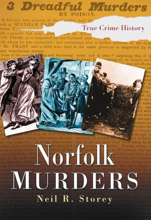 Cover of the book Norfolk Murders by Martin Bowman