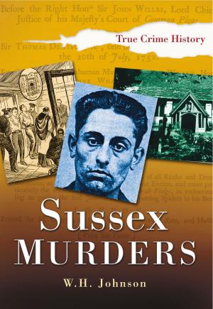 Cover of the book Sussex Murders by Stephen Halliday