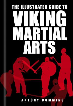 Cover of the book Illustrated Guide to Viking Martial Arts by Maureen James
