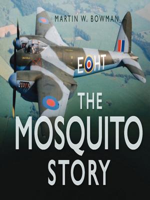 Book cover of Mosquito Story