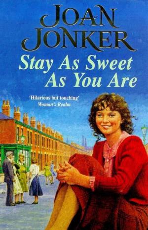 Book cover of Stay as Sweet as You Are