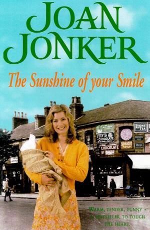Book cover of The Sunshine of your Smile