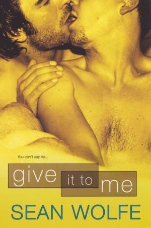 Cover of the book Give It To Me by Angela Winters
