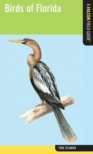Book cover of Birds of Florida