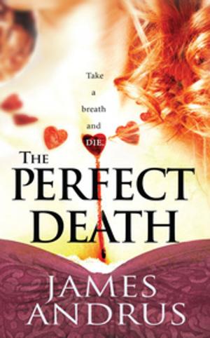 bigCover of the book The Perfect Death by 
