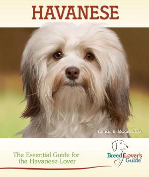 Cover of the book Havanese by Laurie Leach
