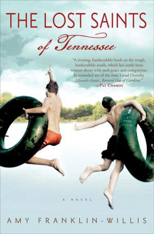 Cover of the book The Lost Saints of Tennessee by Margaret Wrinkle