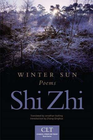 Cover of the book Winter Sun by Hugh Boscawen