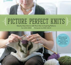 Cover of the book Picture Perfect Knits by Johanna Hurwitz