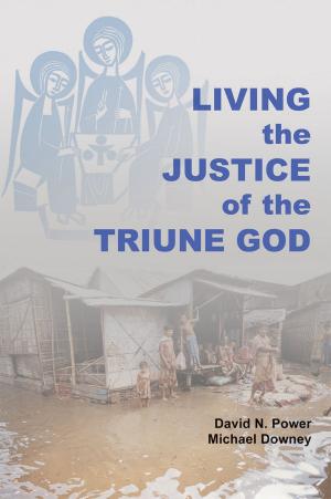 Book cover of Living the Justice of the Triune God