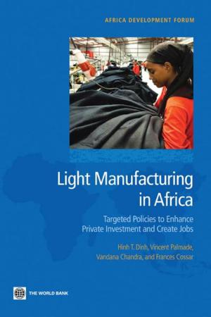 Cover of the book Light Manufacturing in Africa: Targeted Policies to Enhance Private Investment and Create Jobs by Steffen Soulejman Janus
