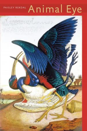 Cover of the book Animal Eye by Gábor Rittersporn