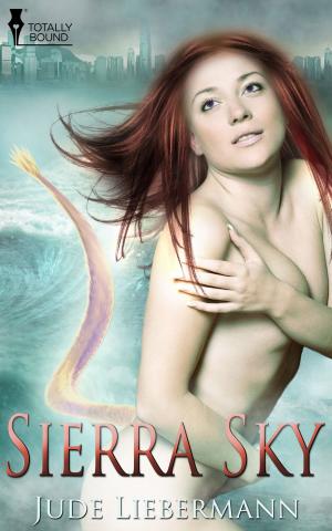 Cover of the book Sierra Sky by K. Evan Coles, Brigham Vaughn