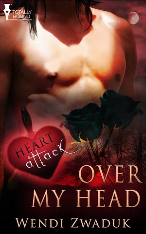 Cover of the book Over My Head by Bailey  Bradford