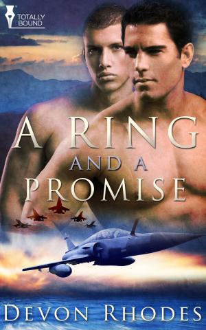Cover of the book A Ring and A Promise by Kim Dare