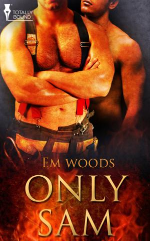 Cover of the book Only Sam by Carol Lynne, T.A. Chase, Stephani Hecht