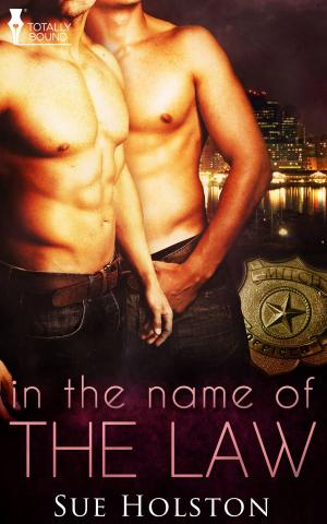 Cover of the book In the Name of the Law by Desiree Holt