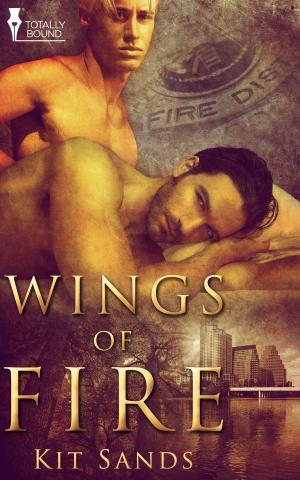 Cover of the book Wings of Fire by Scott Pixello