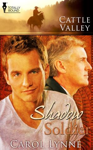 Cover of the book Shadow Soldier by Ashley Ladd