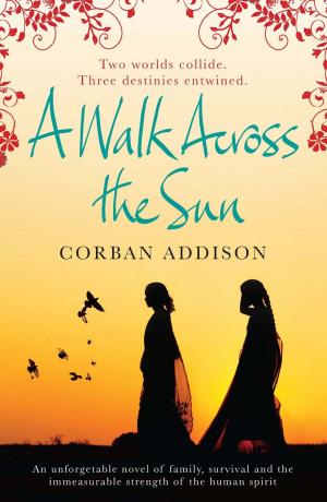 Cover of the book A Walk Across the Sun by Jessamy Hibberd, Jo Usmar