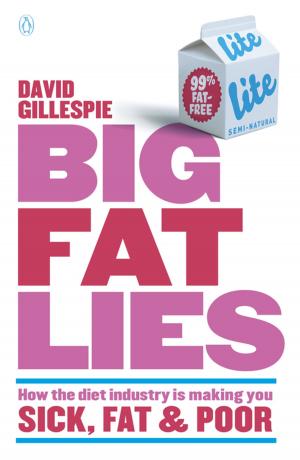 Cover of the book Big Fat Lies by Megan Rix