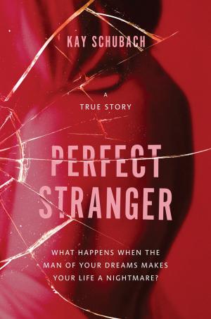 bigCover of the book Perfect Stranger by 