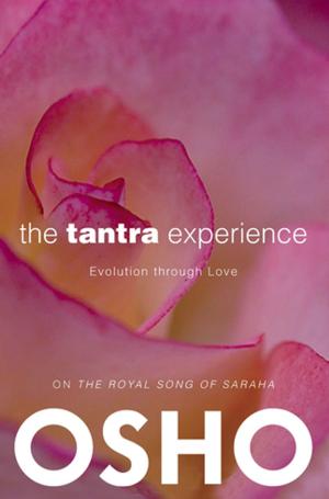 Cover of the book The Tantra Experience by Pino Perriello