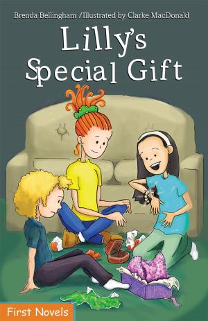 Cover of the book Lilly's Special Gift by Jim Poling Sr.