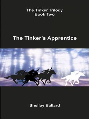 Cover of the book The Tinker's Apprentice by Suzanne Sawyer Vincent