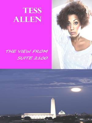 Cover of the book The View from Suite 2100 by Heather Hildenbrand