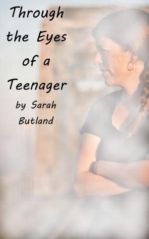 Book cover of Through the Eyes of a Teenager