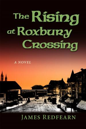 Cover of the book The Rising at Roxbury Crossing by Ignaz Hold