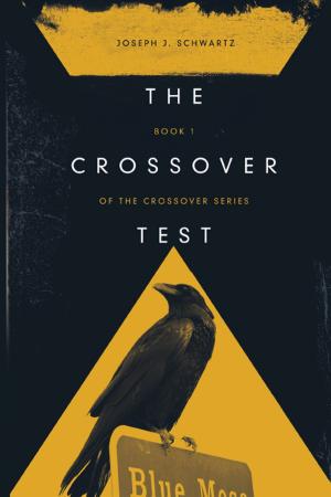 bigCover of the book The Crossover Test by 