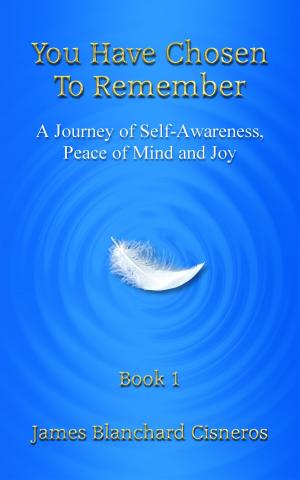 Cover of the book You Have Chosen to Remember: A Journey of Self-Awareness, Peace of Mind and Joy by Amy Bammel Wilding