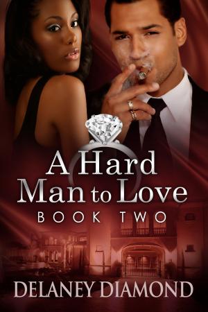 Cover of the book A Hard Man to Love by Delaney Diamond