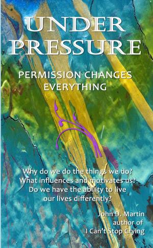 Book cover of Under Pressure, Permssion Changes Everything