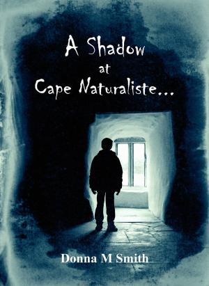 Book cover of A Shadow at Cape Naturaliste