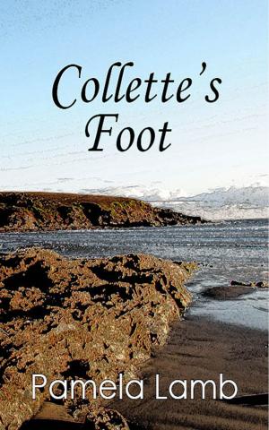 Cover of the book Collette's Foot by Meredith Rae Morgan