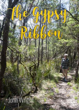 Book cover of The Gypsy Ribbon
