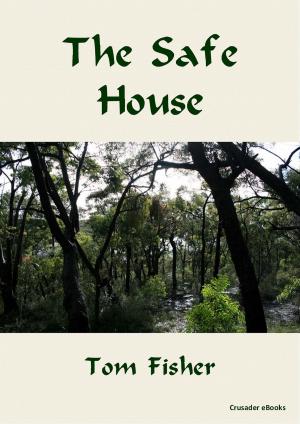 Book cover of The Safe House