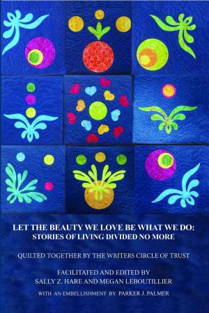 Cover of the book Let the Beauty We Love Be What We Do: Stories of Living Divided No More by Josh Holt