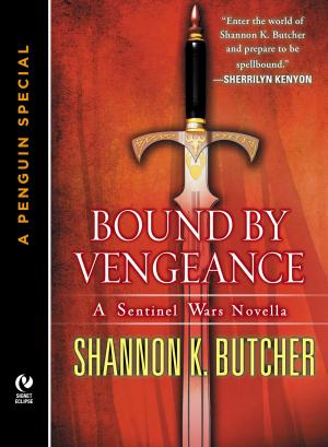 Cover of the book Bound by Vengeance by Ella Berthoud, Susan Elderkin