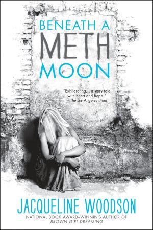 Cover of the book Beneath a Meth Moon by Joseph Bruchac