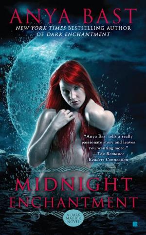 Cover of the book Midnight Enchantment by Lucy Burdette