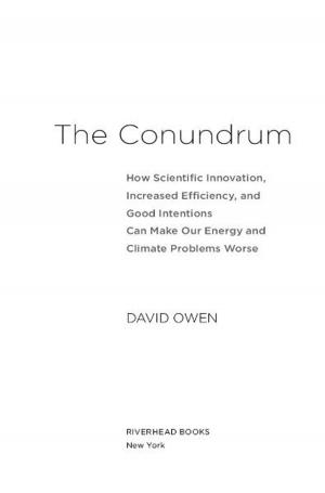 Cover of the book The Conundrum by Koren Zailckas