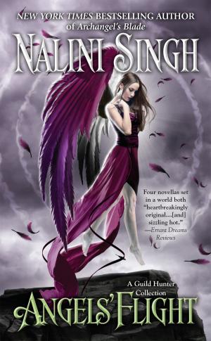 Cover of the book Angels' Flight by Stephen White
