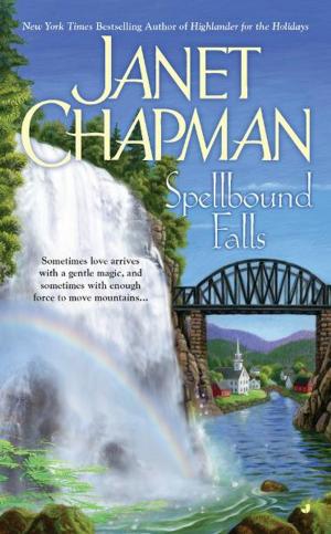 Cover of the book Spellbound Falls by Faith Hunter