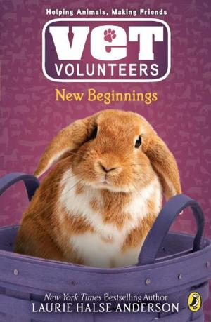 Cover of the book New Beginnings #13 by Sally Warner